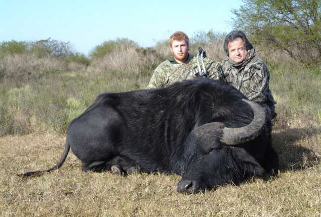 One of the first Buffalos with GrizzlyStik