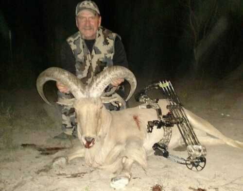 Texas Aoudad