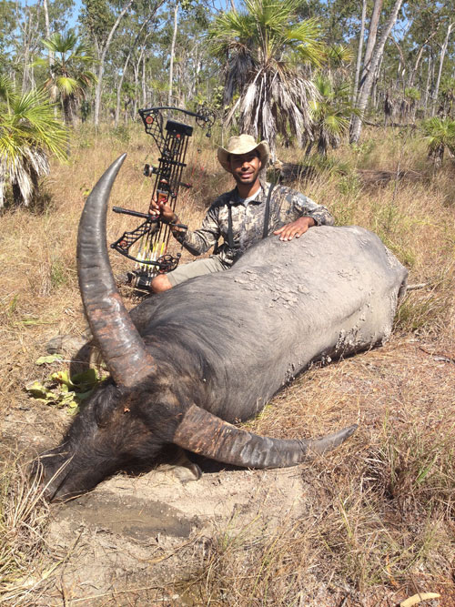 Water Buffalo Pass Through