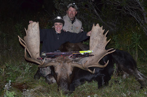 Shiras moose with a 48# bow