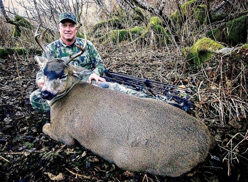 3 point blacktail