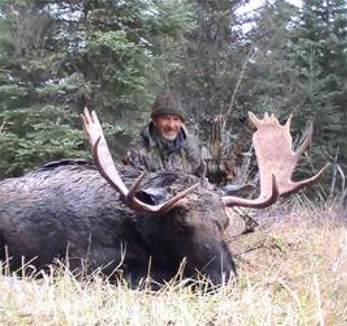 Shiras Moose Recovery