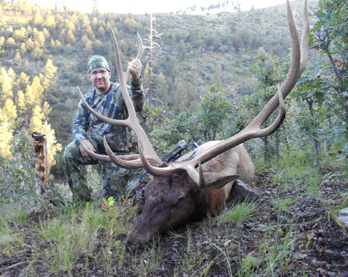 Better penetration on elk with GrizzlyStik elk arrows and elk broadheads