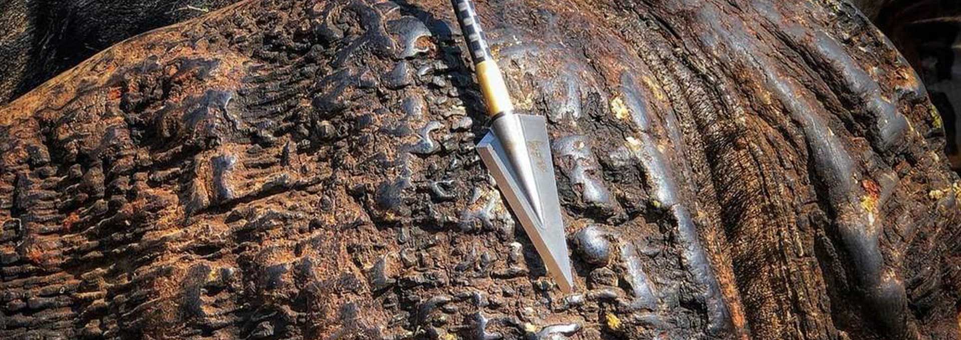 Lethal High FOC Arrow & Broadhead Systems