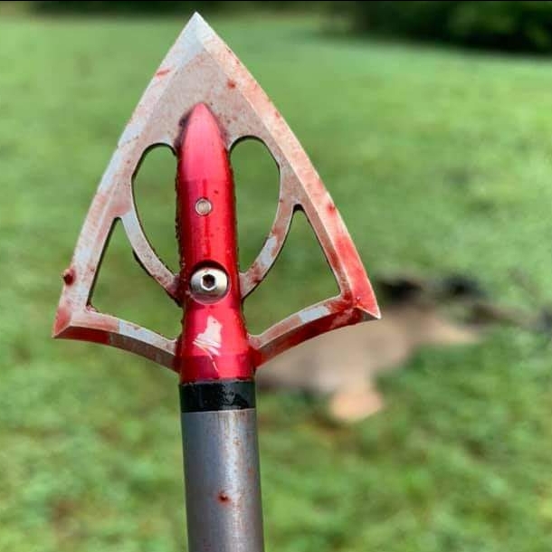 125 grain crossbow broadhead