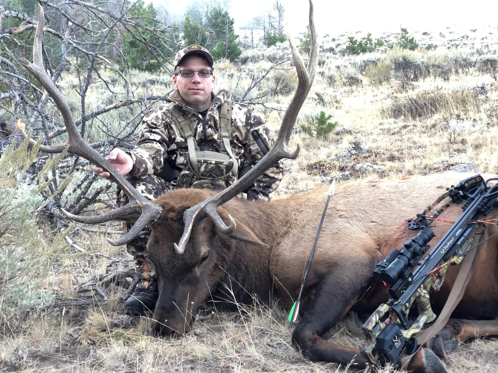 an elk harvested with a crossbow