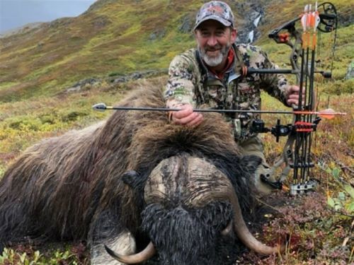 Dr Ed Ashby Big Game System Musk Ox