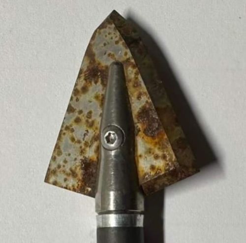 Iron Will Broadheads Rust